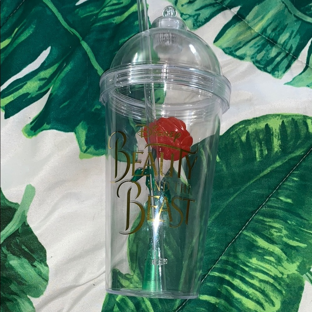 Disneyland water bottle